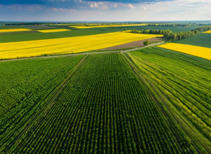 Călătorie prin România: De la munți la Delta Dunării