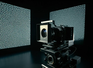 Paris Photo 2025: O Reinventare Continuă a Artei Fotografice și Noilor Perspective