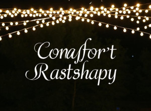 Invitație la petrecere