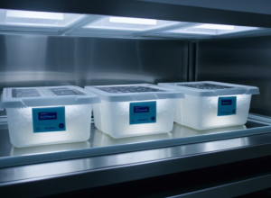 Spitalul Regional Malaga: Peste 5.400 de Biopsii Congelate din August, Declanșând Alerte de Sănătate Publică