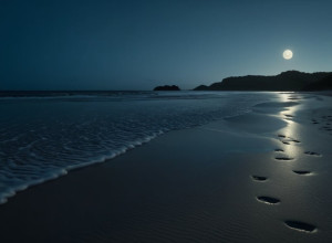 Patru Bărbați Reținuți pentru Viol în Málaga: Victima Substanțelor Chimice