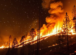 Incendei forestiere în Chile: imagini