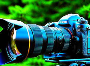 Un loc sigur pentru jurnaliști din Gaza