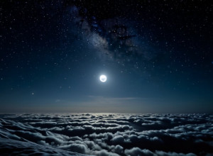 Români se bucură de Rose Byrne: a câștigat premia Oscară!