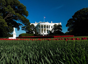 Un an de întoarcerea lui Trump la Casa Albă în 10 imagini