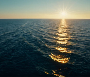 Marea lui Sorolla și Cuvintele lui Manuel Vicent: O Nouă Perspectivă Luminoasă la Barcelona