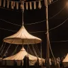 Sub cupola circului: Un trapezist catalan povestește despre risc și viața nonconformistă în Africa de Sud a anilor '70