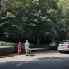 Un tânăr de 25 de ani, rănit grav după ce o creangă de copac a căzut pe el în Madrid