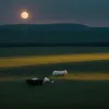 Lleida continuă măsurile pentru combaterea invaziei de iepuri: raiduri nocturne și dihori