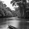 A murit Sebastião Salgado, fotograful care a documentat Amazonia și marile provocări contemporane