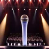 Președintele Eurovision: „Tot televotul a fost verificat minuțios”