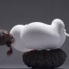 Șase cazuri de miiază umană confirmate în Mexic: ce trebuie să știi