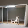 Chenoa va prezenta noua emisiune "Dog House" la RTVE despre adopția câinilor