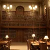 Flavita Banana: Noua caricatură despre biblioteci