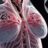 Biomarkerii schimbă cursul cancerului pulmonar: speranță și supraviețuire