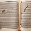 „Habemus Papam” și alte expresii latine care ne înconjoară zilnic