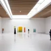 Operă de artă confiscată în Cazul Púnica, expusă pentru prima dată: Tabloul "Furor Penellis" de Miquel Barceló la Muzeul Reina Sofía din Madrid