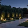 Ghirlande solare pentru grădină și terasă: Soluție ieftină și simplă pentru iluminat exterior autonom