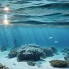 Mar Menor primește tutori legali: ecosistemul începe să fie protejat
