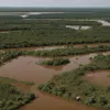 Criza de holeră se agravează în Sudanul de Sud pe fondul luptelor și al reducerii ajutorului umanitar