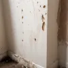 Cum să scapi rapid de mucegai și umiditate pe pereți: o soluție eficientă