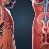 Medicii avertizează: Nu există "consum responsabil" de alcool, orice cantitate este dăunătoare
