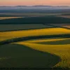 Primii fermieri albi din Africa de Sud au primit azil în SUA pe fondul acuzațiilor de discriminare