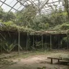 Frank Cuesta recunoaște: Animalele din sanctuarul său au fost cumpărate, nu salvate