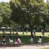 Poluarea aerului și sănătatea mintală a copiilor: un studiu din Catalonia dezvăluie legături îngrijorătoare