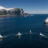 Întâlnirile dintre balenele ucigașe și nave în strâmtoarea Gibraltar au scăzut cu 40% în 2024