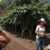 Ciclul de viață al cafelei sustenabile: De la boabe la reciclare