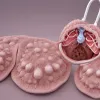Joe Biden suferă de cancer de prostată agresiv cu metastaze