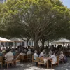 Barcelona extinde rețeaua de refugii climatice: protecție împotriva căldurii pentru fiecare cartier