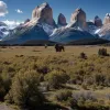 Un biolog argentinian salvează o broască rară din Patagonia și conservă un ecosistem întreg