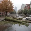 O femeie grav rănită la Madrid după ce un copac a căzut peste ea