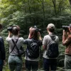 Cele mai bune binocluri pentru observarea naturii: recenzie și experiență