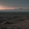 Artistul mexican Andrew Roberts „sparge” cultura capitalistă: artă, violență și jocuri video