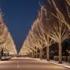 Barcelona aprinde luminile de Crăciun în plină caniculă: noi instalații luminoase în oraș