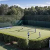 Davidovich se retrage de la turneul de la Queen's: Alcaraz va juca împotriva lui Walton