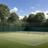 Alcaraz vizează tripla: Călătoria spre o nouă dimensiune istorică la Wimbledon