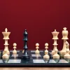 Anna Muzychuk triumfă la Norway Chess: Victorie impresionantă pentru șahista ucraineană