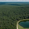 Las Tablas de Daimiel văzut de sus: Parcul Național renaște după ploi