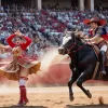 O coridă de vis: Rezumatul luptei cu tauri de la Las Ventas