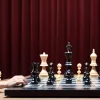 Anand demonstrează măiestrie: fostul campion mondial la șah îl învinge rapid pe Erigaisi