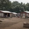 Sclavia modernă în Spania: Migranții plăteau pentru a munci și a trăi în condiții inumane