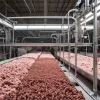 Kaura Coproducts: Experți în Economie Circulară Transformă Deșeurile în Resurse Prețioase