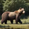 Cum să coexistați cu urșii grizzly: experiența din Canada și Alaska