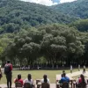 Educația ca motor al tranziției verzi în America Latină: un apel la acțiune