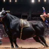 Fortes și Morante de la Puebla, vedetele Târgului de la Málaga