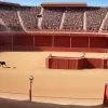 Adio legendar: Fernando Robleño se retrage după o coridă dezamăgitoare